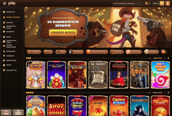 Strona gł&oacute;wna kasyna Lizaro