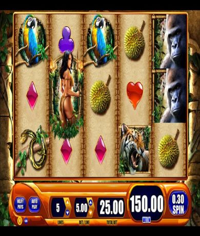 Zagraj teraz w Amazon Queen &ndash; automat online od WMS za darmo | Kasynos Online