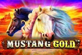 Mustang Gold recenzja