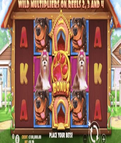 Zagraj teraz w The Dog House &ndash; automat Pragmatic Play za darmo | Kasynos Online