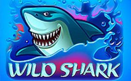 wild shark slot